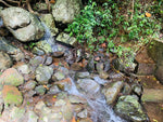 VTT Tout-Terrain – Location à Mayotte