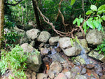 VTT Tout-Terrain – Location à Mayotte